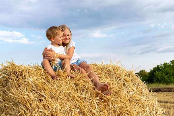 Pair of two cute adorable little caucasian sibling kids enjoy sitting on haystack bale and hug together at country nature farm on warm summer day. Brother and sister friendship, love and care concept stock photo