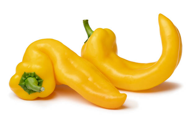Pair of yellow deformed homegrown yellow pointed bell peppers on white background stock photo