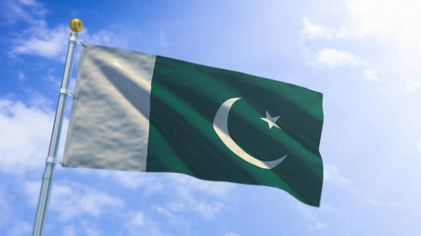 Pakistan Flag A stock digital 3D render of the Pakistan flag. pakistan flag stock pictures, royalty-free photos & images