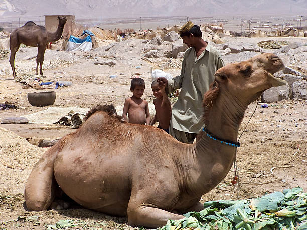 Pakistani Nomad Family stock photo