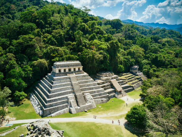 Palenque Chiapas Mexico Aerial view of the Archeological site of Palenque in Chiapas. Mexico. mayan stock pictures, royalty-free photos & images