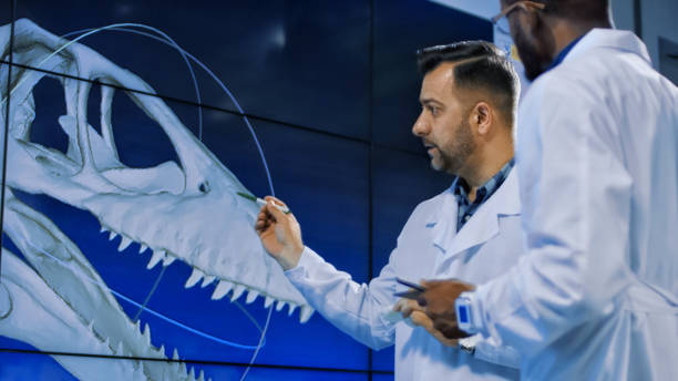 古生物学者探索 3次元印刷恐竜モデル - 発掘 ストックフォトと画像