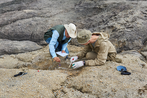 two paleontologists extract fossilized bone from the ground in the desert