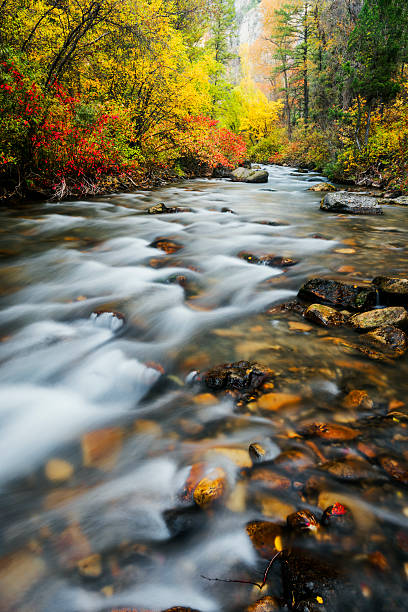 Palisades Creek Autumn Beauty in Swan Valley Idaho stock photo