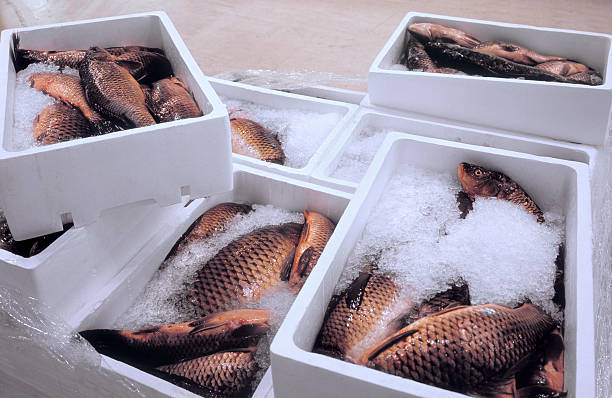 pallet with fresh fish at a wholesale market. - polystyreen stockfoto's en -beelden