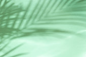 istock Palm leaves on a green background or surface with shadow and sunlight. Stylish banner 1321288966