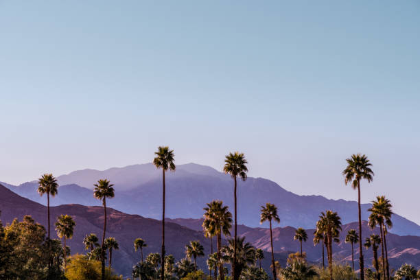 Palm Springs Scenic San Jacinto Mountain Landscape stock photo