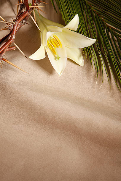 Palm Sunday, Good Friday and Easter  good friday stock pictures, royalty-free photos & images