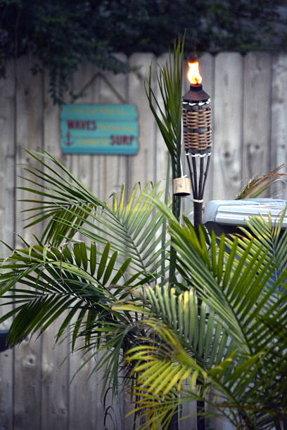 Palm Torch stock photo