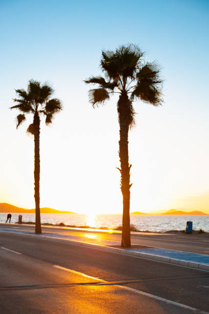palm tree,  road and sea on sunset stock photo