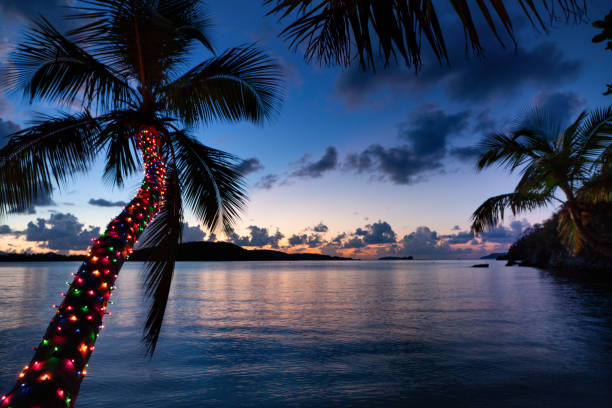 Palm tree with Christmas lights on a tropical beach stock photo