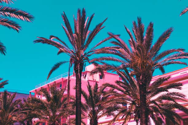 palm trees and hotels in pink stock photo