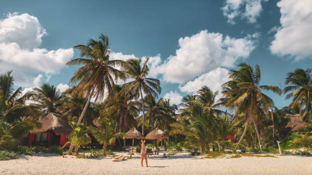Palm trees and the girl on the white beach in Tulum caribbean, Mexico Endless turquoise caribbean sea with palm trees and the girl on the white beach in Tulum caribbean, Mexico hot mexican girls stock pictures, royalty-free photos & images