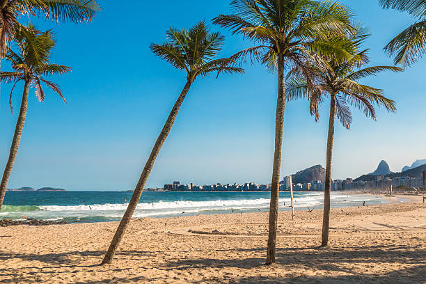 Palm trees in Copacabana Beach Brazil stock photo
