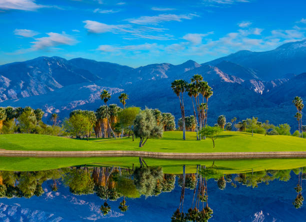 Palm Trees line a green belt and pond in Palm Springs, California Palm Springs, a city in the Sonoran Desert of southern California, is known for its hot springs, stylish hotels, golf courses and spas. Palm trees and green belts create beauty and a dramatic view. palm springs california stock pictures, royalty-free photos & images