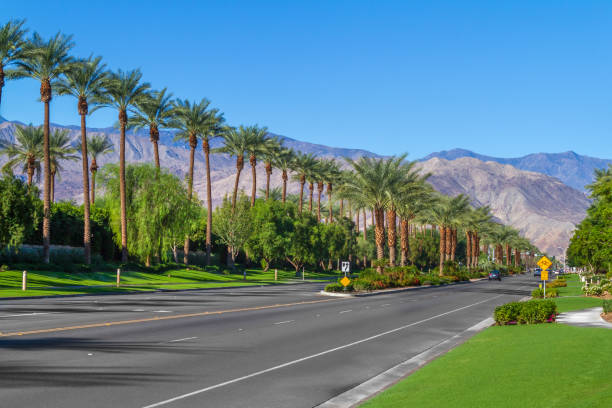 Palm trees line the landscape on California Highway 111 in the city of Indian Wells in the Coachella Valley Palm trees line the landscape on California Highway 111 in the city of Indian Wells in the Coachella Valley palm springs california stock pictures, royalty-free photos & images