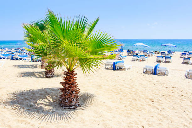 alanya stok fotograf resimler ve gorseller istock