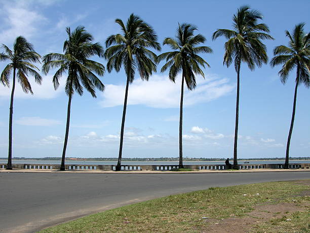 Palm trees Road and row of palm trees on maputo marginal avenue, Mozambique maputo city stock pictures, royalty-free photos & images