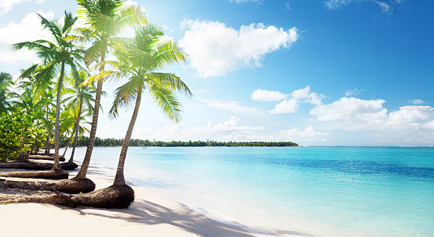 Dominican Republic Pictures, Images and Stock Photos - iStock