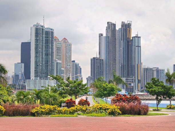 Panama City skyscraper and flowers stock photo