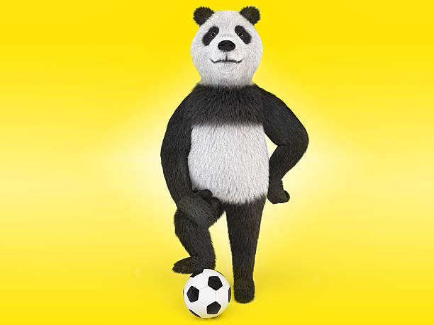 panda se dresse avec un pied sur le ballon. - panda foot photos et images de collection