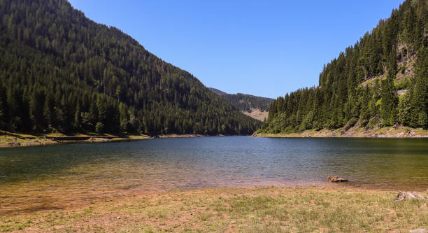 Paneveggio Lake (Trentino, Italy) stock photo