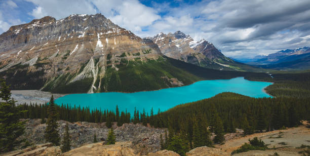 Pano of the beautiful blue Peyto Lake in Banff National Park in Canada stock photo