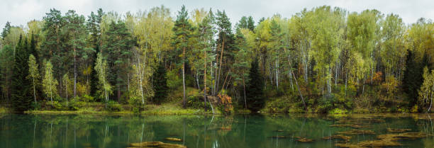 Panorama of autumn lake in the middle of forest. Panorama landscape. stock photo