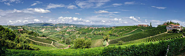 Panorama of Farm house in  vineyard "Barolo Hills of vineyards, Piedmont. Italy" alsace stock pictures, royalty-free photos & images