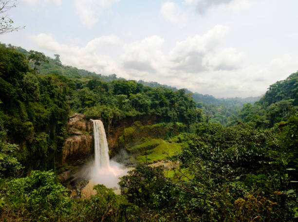 全景圖的主要梯級的 ekom 瀑布，在喀麥隆恩卡姆河 - cameroon 個照片及圖片檔