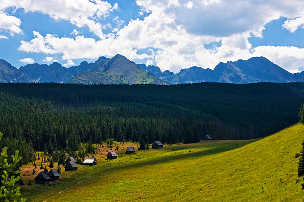 Panorama of Polish Tatra mountains stock photo