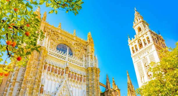 Panorama of Seville Cathedral and Giralda tower over blue sky Seville Cathedral (Catedral de Sevilla) and Giralda tower over blue sky, Spain travel photo seville cathedral stock pictures, royalty-free photos & images