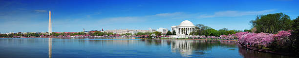 Panorama of Washington DC with cherry blossoms Washington DC panorama with Washington monument and Thomas Jefferson memorial with cherry blossom. washington dc stock pictures, royalty-free photos & images