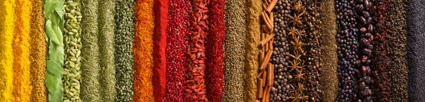 Panorama spices and herbs for food labels. Seasonings and flavors background Indian spices and herbs as background. Seasonings texture for website header. spice stock pictures, royalty-free photos & images