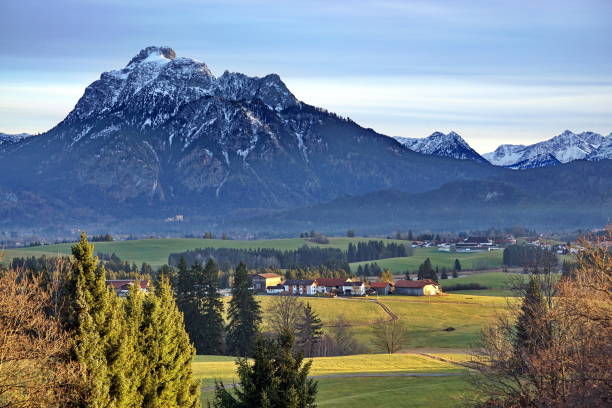 Panorama view of hops with säuling in the background . Ost-Allgäu, Bavaria, Germany. Panorama view of Hopfen with Säuling in the background . Ost-Allgäu, Bavaria, Germany. allgau alps stock pictures, royalty-free photos & images