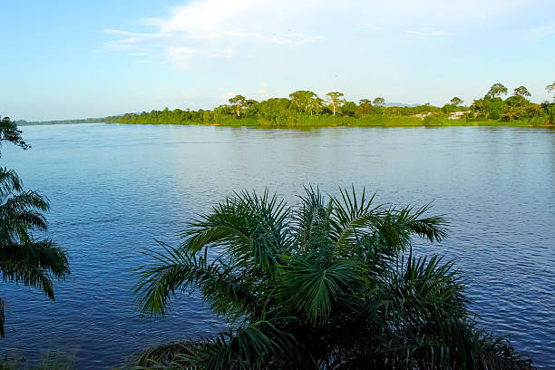 panorama view of the ogowe river and its banks - gabon stockfoto's en -beelden