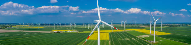 panoramablick auf die luft und nahaufnahme einer windkraftanlage in einem windpark mit rapsfeld - tim siegert stock-fotos und bilder