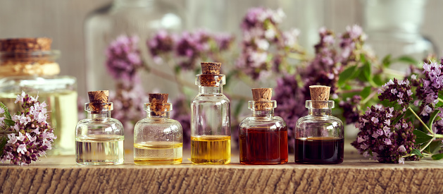 Panoramic banner of bottles of aromatherapy essential oil with fresh oregano flowers
