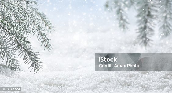 istock Panoramic banner with Christmas winter background. Pine tree branches covered frost and snow, copy space 1347178723