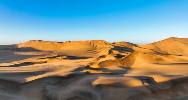 Panoramic desert dunes in shadow and light of sunrise stock photo