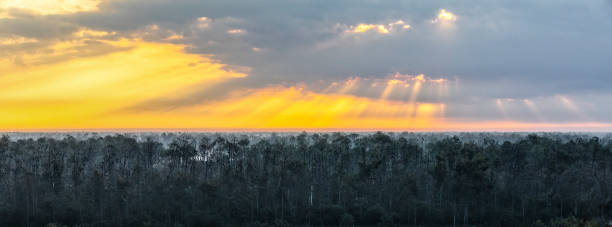 Panoramic image of sun rays on early morning sunrise with fog. stock photo