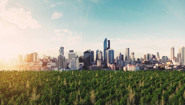Panoramic modern city in sunrise with green forest Panoramic modern city in sunrise with green forest green building stock pictures, royalty-free photos & images