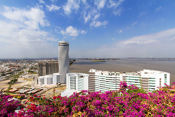 Panoramic of Guayaquil stock photo