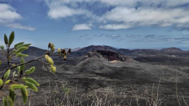 panoramica dei vulcani nel parco nazionale dei vulcani a lanzarote dalla caldera blanca - cuadrado foto e immagini stock