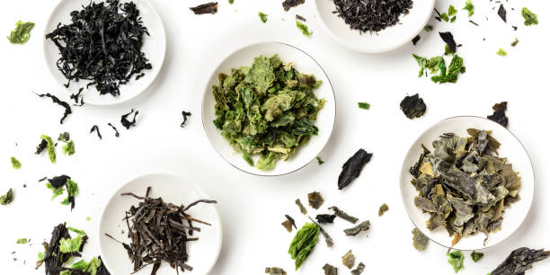 A panoramic overhead shot of a variety of dry seaweed, sea vegetables, on a white background A panoramic overhead shot of a variety of dry seaweed, sea vegetables, on a white background green algae stock pictures, royalty-free photos & images