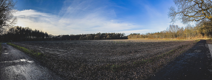 A panoramic picture of a path to the forest next to a field in the city of \