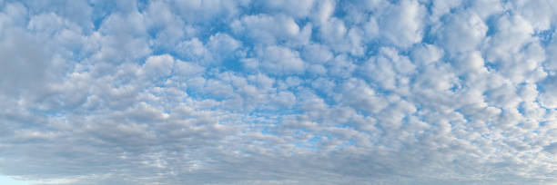 Panoramic sky with altocumulus clouds Sky with a pattern from lots of altocumulus clouds. Panoramic skyscape in 1:3 format. altocumulus stock pictures, royalty-free photos & images