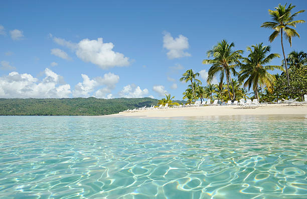 Panoramic view of a clear beach and palm trees stock photo