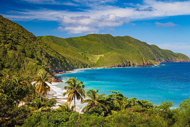 panoramic view of Carambola Beach, St.Croix, US Virgin Islands stock photo