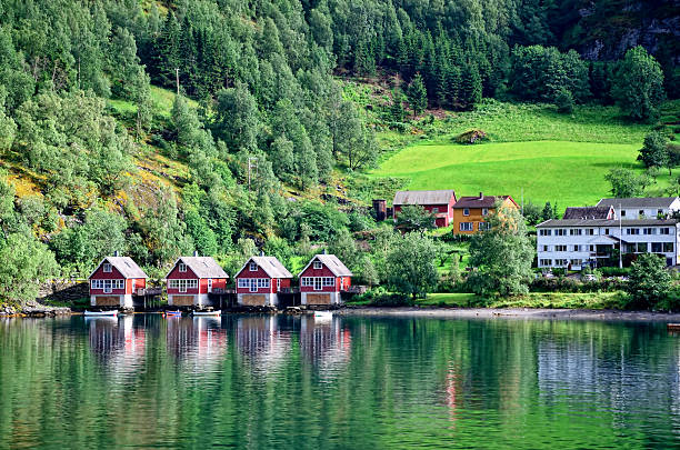 Panoramic view of Norwegian lake with houses and trees stock photo